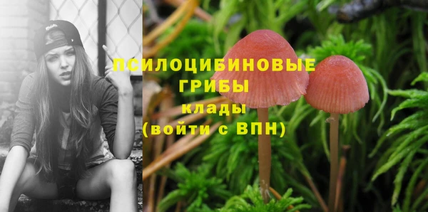 меф Балахна