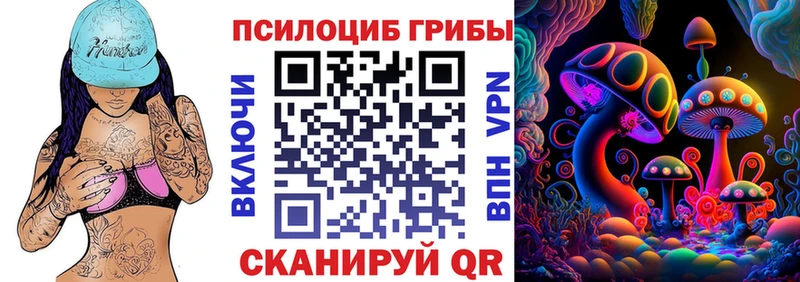 Псилоцибиновые грибы Cubensis  Торжок 